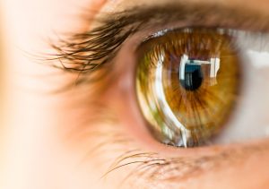 Protege la película lagrimal de los ojos con un humidificador